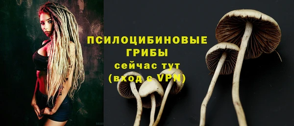 таблы Магас