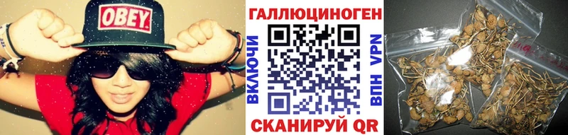 даркнет какой сайт  Отрадный  Псилоцибиновые грибы ЛСД  купить наркотик 